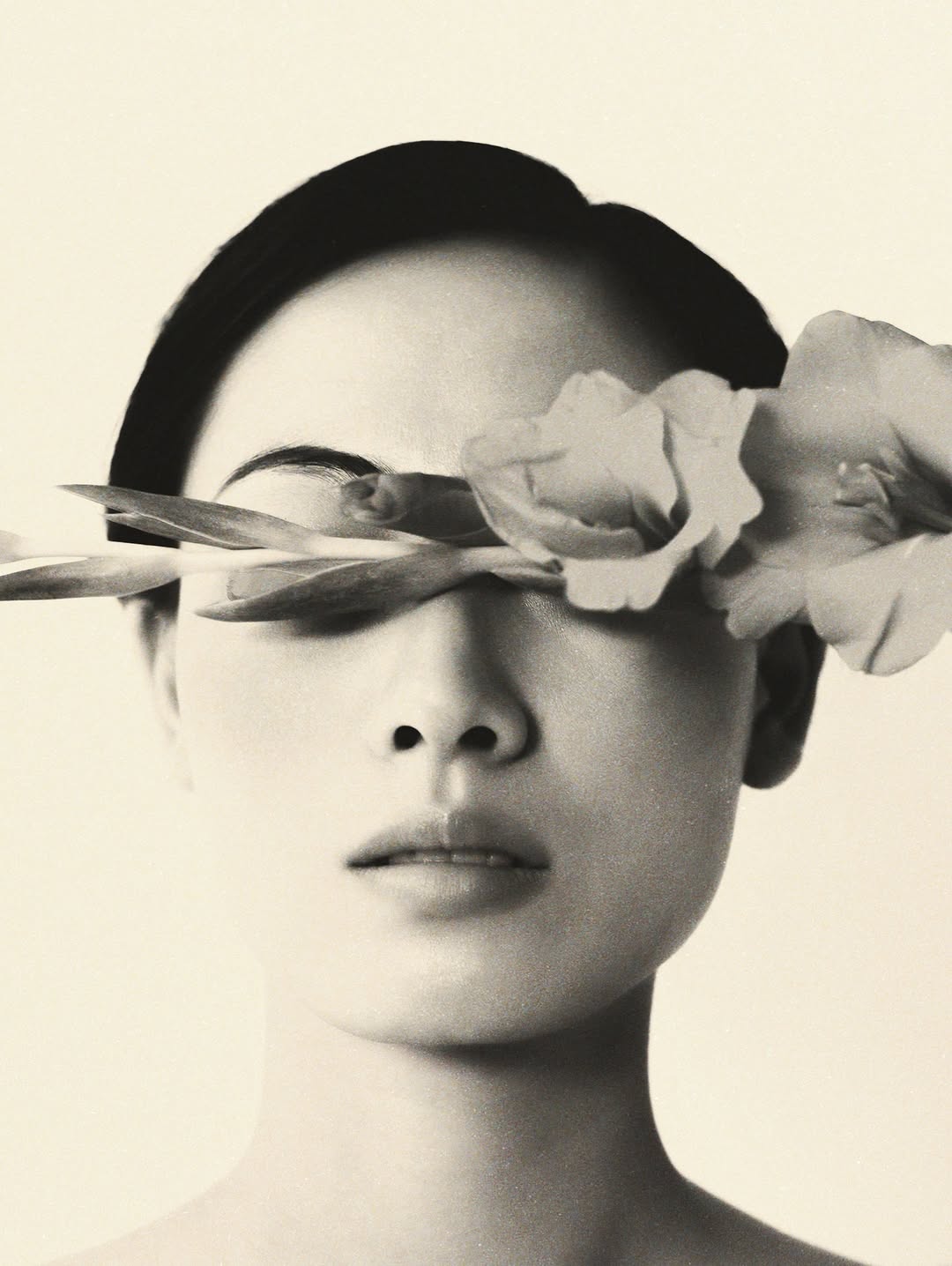 Dạ Miêu photography